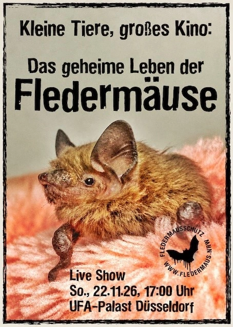 Kleine Tiere, großes Kino: Das geheime Leben der Fledermäuse – Filmplakat